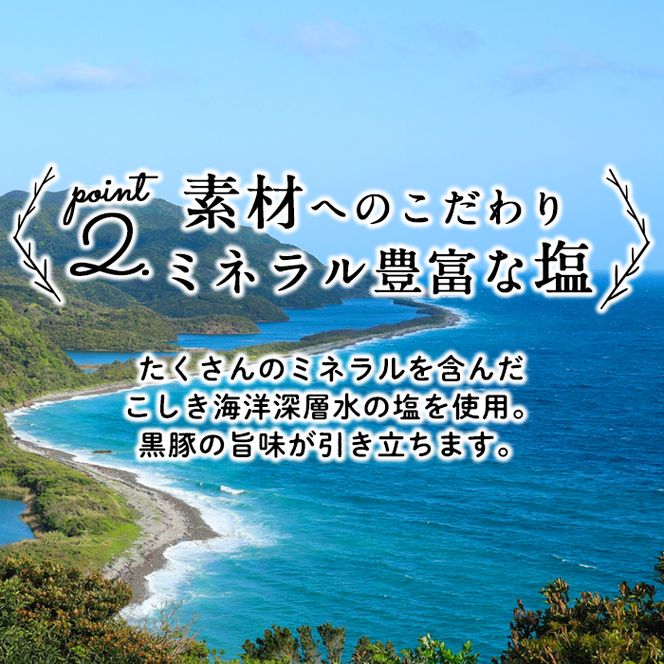 鹿児島県産黒豚使用！黒豚MEGUMIウインナー3種セット(プレーン・ジンジャー・ガーリック 各3P)計9P a2-069