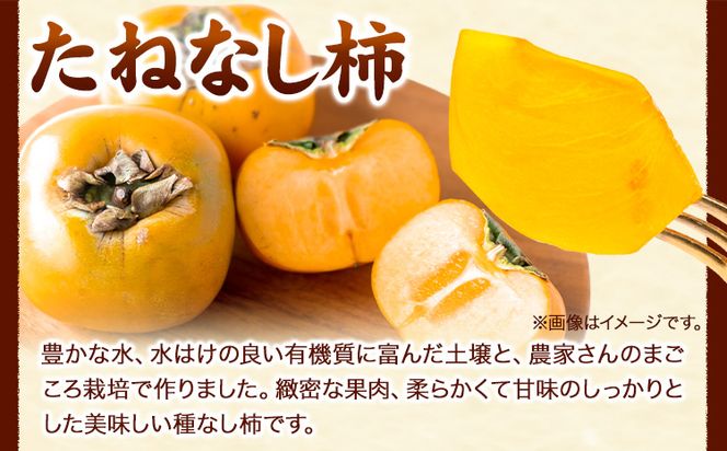 ◆先行予約◆和歌山産たねなし柿（L〜4Lサイズおまかせ）約7.5kg・秀品 《2024年10月上旬-11月末頃出荷》 和歌山県 日高町 かき 種なし---iwsh_gsk25_ac1011_24_17000_7500g---