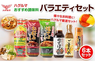 ハグルマ おすすめ調味料バラエティーセット(6本詰)[90日以内に出荷予定(土日祝除く)]和歌山県 紀の川市 ---wsk_hgcyomiv_90d_22_9000_6p---