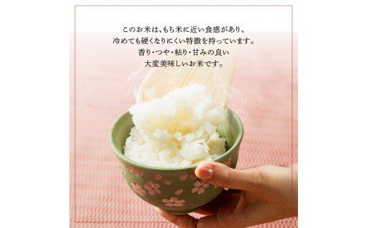 【B01019】特別栽培米ぴかまる白米 5kg