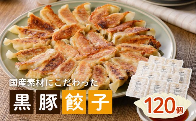 yszYfނɂLq120@K111-015