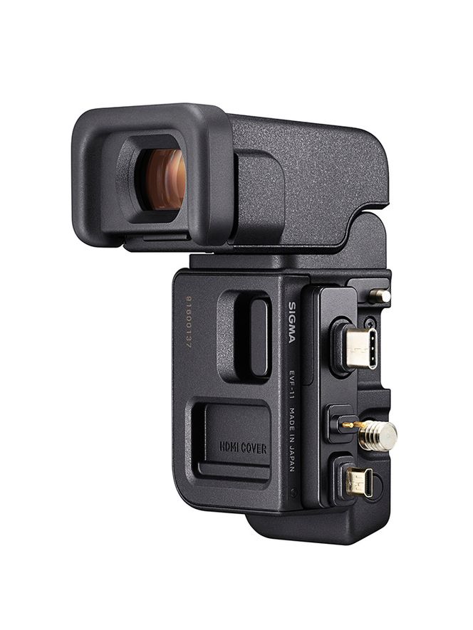 SIGMA fp L + ELECTRONIC VIEWFINDER EVF-11
