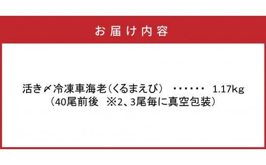 鮮度抜群！活き〆冷凍車海老（1.17kg）_29004C