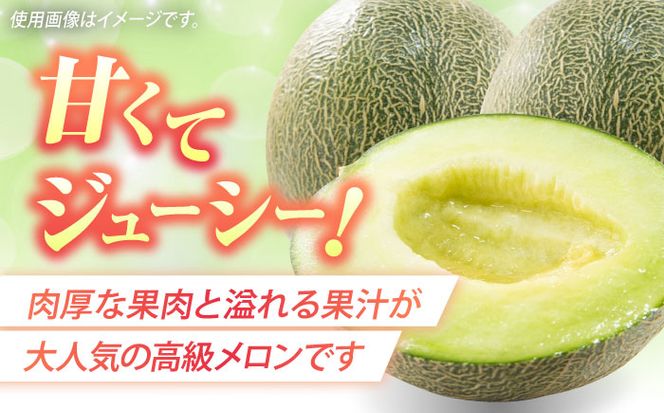 【2026年5月中旬～発送】肥後グリーンメロン 2玉（合計4kg以上） 果物 フルーツ / 南島原市 / 長崎県農産品流通合同会社[SCB088]