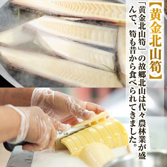 a530 《先行予約受付中！2026年6月以降順次発送予定》数量限定！黄金北山筍(小)250g×6本合計約1.5kg【北山校区コミュニティ協議会】姶良市 国産 たけのこ タケノコ 小分け 瓶詰め 水煮 野菜