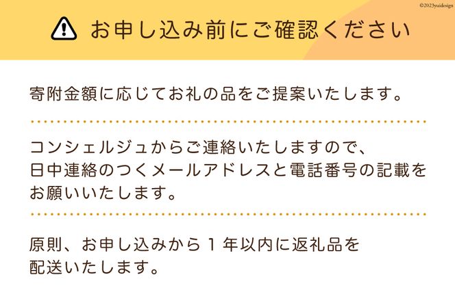 【あなただけの返礼品が届く】 コンシェルジュ サービス 寄附金額 100万円 オーダーメイド プラン [宮城県 気仙沼市 20561984]