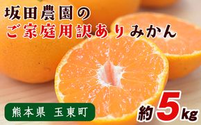  みかん 先行予約 旬【日付指定不可】 ご家庭用 訳あり 『坂田農園』 ご家庭 用 みかん 約 5kg (2S-2Lサイズ) 熊本 予約 受付中 フルーツ 秋 旬 玉東 町 濃厚 食味 ジューシー 果汁 熊本県玉東町《10月上旬-1月末頃出荷》---gkt_skt_5_5kg---