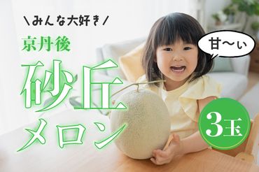 【先行予約／数量限定30】みんな大好き甘～ぃ！京丹後砂丘めろん！ 3玉（2024年7月下旬～発送）　国産 メロン めろん 2024フルーツ ふるーつ 果物 くだもの 農家応援 生産者応援 YK00139