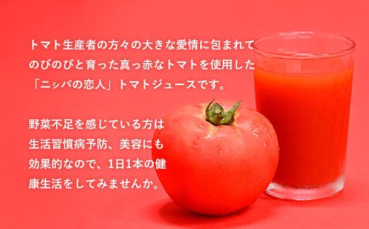 完熟生食用トマトの旨味たっぷり！“贅沢濃厚”「ニシパの恋人」トマトジュース有塩　大満足の60缶 ふるさと納税 人気 おすすめ ランキング トマトジュース トマト とまと 健康 美容 飲みやすい 北海道 平取町 送料無料 BRTH004