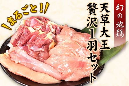 天草大王 贅沢1羽セット[60日以内に出荷予定(土日祝除く)]約1.5kg[幻の地鶏]もも・むね・ささみ 各2枚 熊本県産 あそ大王ファーム株式会社---so_faso1wa_60d_r7_17500_1500g---