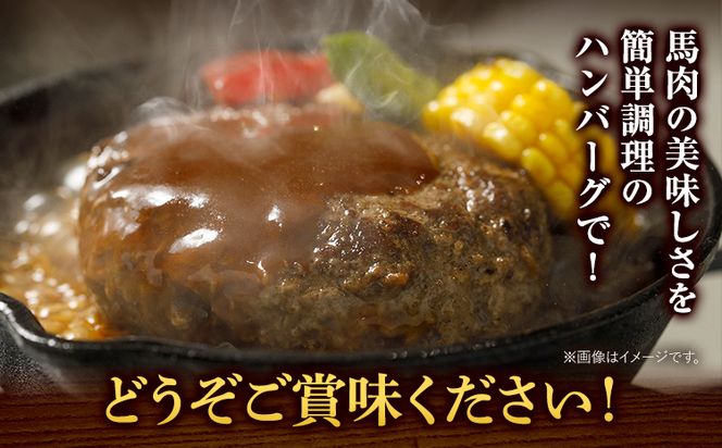 馬肉 ハンバーグ 150g × 10個 長洲501《30日以内に出荷予定(土日祝除く)》 熊本県 長洲町 肉 馬肉 ハンバーグ 惣菜 小分け 送料無料---sn_fskbhnbg_30d_24_13000_1500g---