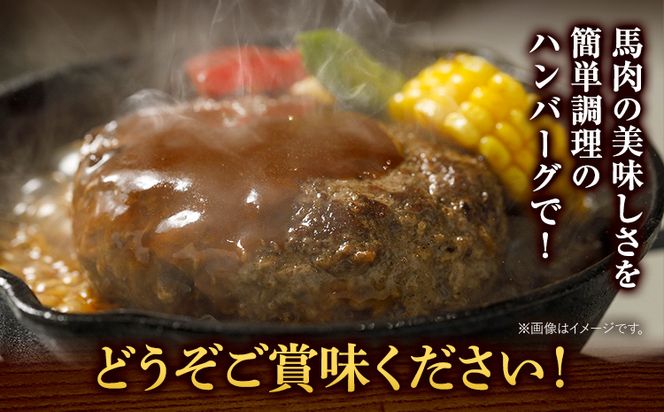 馬肉 ハンバーグ 150g × 10個 有限会社　桜屋《60日以内に出荷予定(土日祝除く)》 熊本県 大津町 送料無料 肉 馬肉 ハンバーグ 惣菜 小分け 送料無料---so_fskbhnbg_60d_r8_13000_1500g---