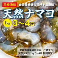 【先行予約】【数量限定】佐田岬海士の生ナマコ 約1kg（3～4匹）【1/17～3/15の漁解禁日に合わせ発送】 ※北海道・東北地方・沖縄・離島への配送不可 ※2025年1月中旬～3月中旬頃に順次発送予定