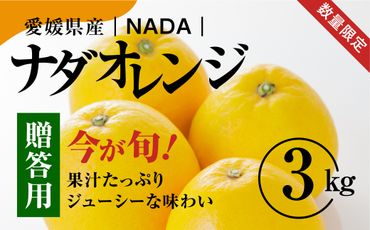 【※数量限定※】【50個限定！】【農家直送】愛媛県産「ナダオレンジ（贈答用3kg）」 ｜みかん 蜜柑 ミカン 柑橘 河内晩柑 果物 フルーツ 限定 産地直送 ギフト お中元 プレゼント ※2024年5月中旬～7月上旬頃に順次発送予定