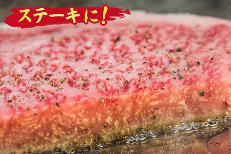 【4回定期便】 佐賀牛 ふたりで贅沢 お楽しみ便（合計1.9kg）(H085149)