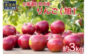 【予約：2026年10月から順次発送】北海道北見市産 りんご 旭 約3kg ( りんご リンゴ 林檎 果物 フルーツ 期間限定 )【044-0003-2026】