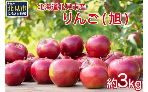 【予約：2026年10月から順次発送】北海道北見市産 りんご 旭 約3kg ( りんご リンゴ 林檎 果物 フルーツ 期間限定 )【044-0003-2026】