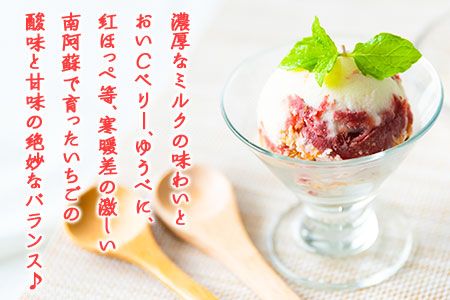 南阿蘇岩下さんちのいちご園 オリジナルミルフィーユアイス 2000ml 《60日以内に出荷予定(土日祝を除く)》 熊本県南阿蘇村 苺 イチゴ アイスミルク---isms_fiwmfyais_60d_r7_16500_2l---