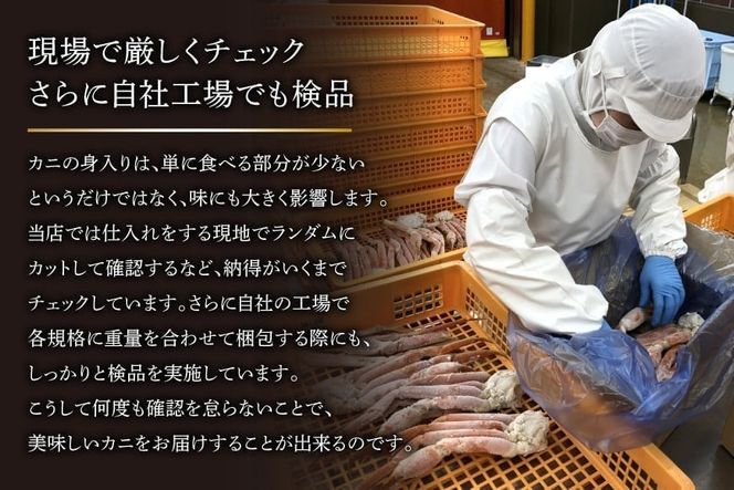 かに【2025 年内配送】 ボイル済み 本ずわいがに 脚 3L～4L 総重量 2kg [カネダイ 宮城県 気仙沼市 20564764] カニ 蟹 ズワイガニ ずわい蟹 ズワイ蟹 ずわい ズワイ 海鮮 魚介類 カニ脚 蟹脚 足 ボイル ご褒美