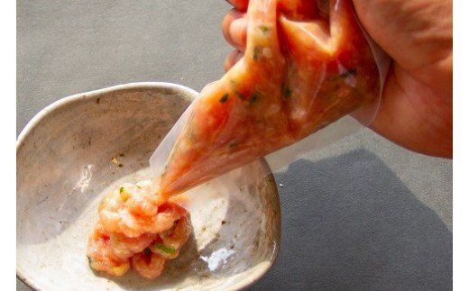 元祖白だし濃厚スープ 名古屋コーチンつみれ鍋セット（3～4人前）きしめん付き H001-071