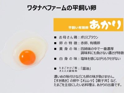 [平飼い有精卵30個×6か月連続定期便] ガツンとインパクトのある濃厚な黄身【平飼い有精卵あかり】｜矢板市産 こだわり卵 たまご 玉子 生卵 鶏卵 [0436]