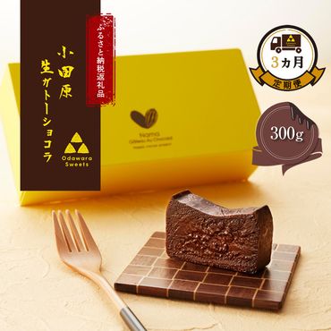 110-2605　幸せの生ガトーショコラ 300g 定期便3ヶ月【チョコレート 特濃厚 濃密な味わい 極上の口溶け 極上のチョコレート 一流の料理人 チョコレート本来の味わいと甘み カカオの風味やコク カカオ 至極の逸品 神奈川県 小田原市 】