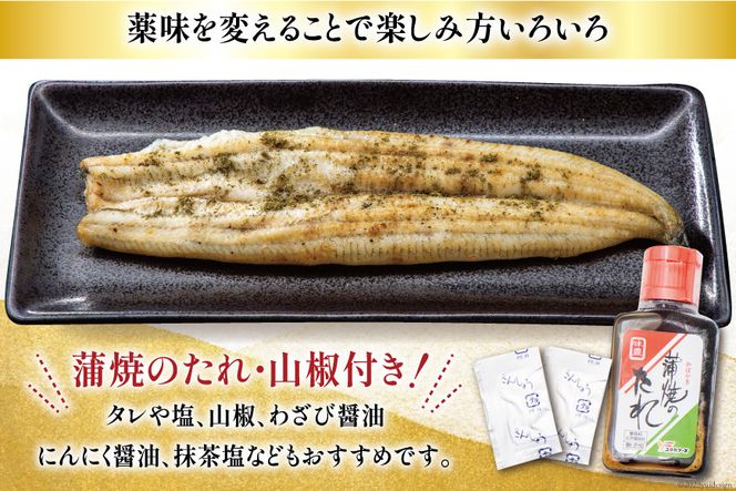 [専門店よりお届け] 国産うなぎ白焼160g×2尾入出来立てを真空パックでお届け うなぎ 国産 白焼 160g程度×2尾 計320g以上 タレ山椒付き 真空