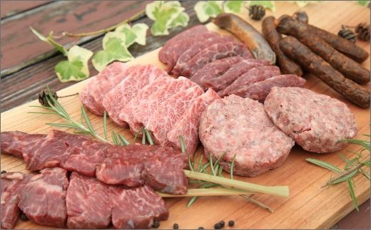 家族や友人と楽しめるバーベキューセット（焼肉・牛肉バーグ・牛肉ソーセージ・牛串）キャンプ、BBQ、パーティー、アウトドアにどうぞ　NH00023