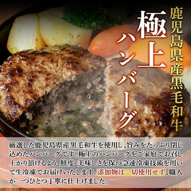 a750 鹿児島県産黒毛和牛ハンバーグセット(200g×5パック)【AKR Food Company】姶良市 国産 牛肉100% 冷凍 小分け
