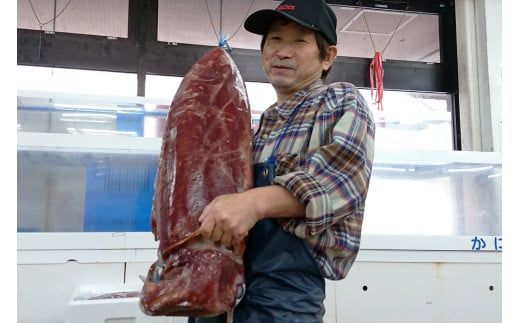 【赤いか（そでいか）刺身用 香住産 約1kg 冷凍】水揚げがあり次第順次発送 日本海で水揚げされた鮮度抜群の赤イカを急速冷凍し旨味と甘みを凝縮させました。使いやすく短冊状に切り分けております。大人気 ふるさと納税 送料無料 急速冷凍 お刺身 天ぷら 煮つけ ソテー いか 兵庫県 香美町 香住 宿院商店 33-16