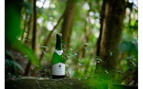 E076 【山口産りんご】YAMAシードル－スイート－（375ml×1本）やまぐちシードル