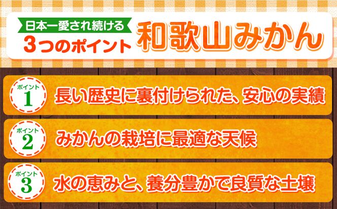 【訳あり/サイズ不選別】 和歌山みかん 約5kg 和歌山県産 《11月中旬から1月中旬に出荷予定（土日祝除く）》たっぷり ご家庭用 2L～2S 産地直送 みかん 旬 蜜柑 ミカン 柑橘 果物 フルーツ 和歌山県 紀の川市---wfn_wlocal89_11c1c_25_7000_5kg--