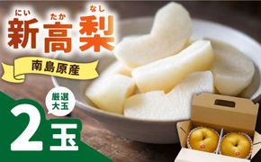 【2026年9月中旬～発送】【シャリッと食感がたまらない！】新高梨 2玉 / 梨 なし 南島原市 / ふるさと企画 [SBA007] 