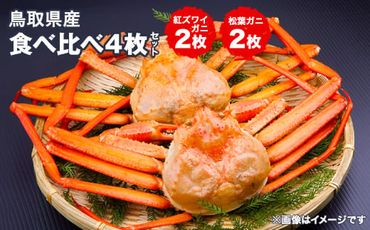 鳥取県産松葉ガニと紅ズワイガニの食べ比べセット ※着日指定不可 ※離島への配送不可 ※2025年2月上旬～3月下旬頃に順次発送予定