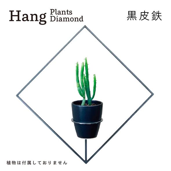 GRAVIRoN Hang Plants シリーズ Diamond 黒皮鉄（プランツハンガー）