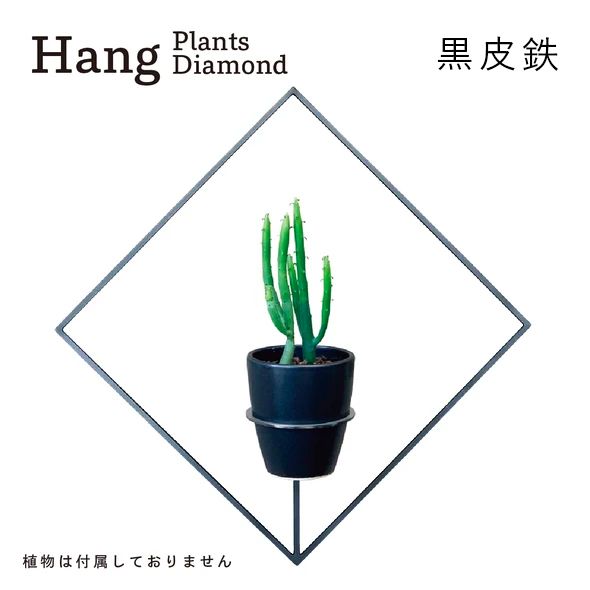 GRAVIRoN Hang Plants シリーズ Triangle/Diamond/Round セット 黒皮鉄（プランツハンガー） 観葉植物 プランター