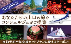 A055 山口オーダーメイド旅行プラン（30000円分）