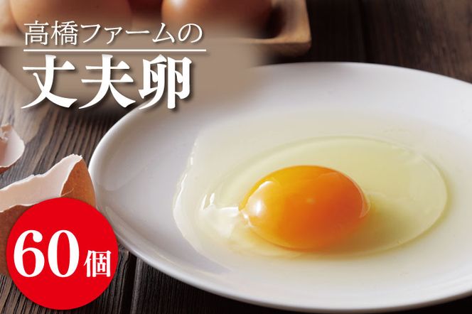 yȖ،vqzAQ004@t@[̏v60