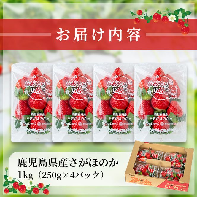 【予約受付中】鹿児島県産いちご！愛情たっぷりさがほのか 計1kg(250g×4パック) a5-067