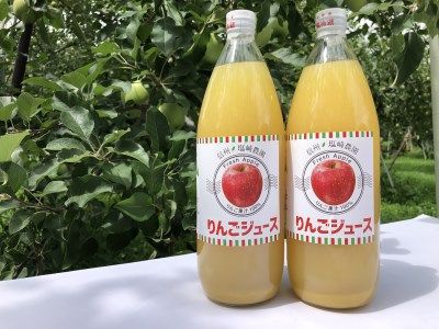 信州１００％リンゴジュース（1L瓶×2本）　（A-06）　