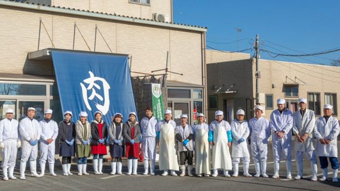 《 定期便 11月スタート 》 厳選 『 常陸牛 』 6ヶ月セット ( 茨城県共通返礼品 ) 肉 焼肉 国産 霜降 サーロイン もも ハンバーグ ステーキ すき焼き しゃぶしゃぶ [BM031us]