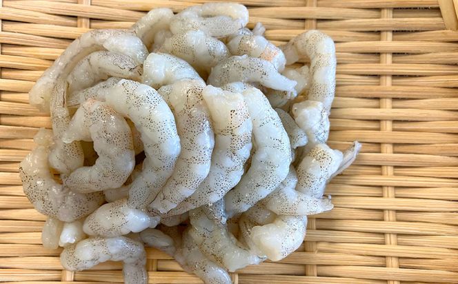 上天草産 天然芝えび むき身 1kg エビ 海老 芝海老