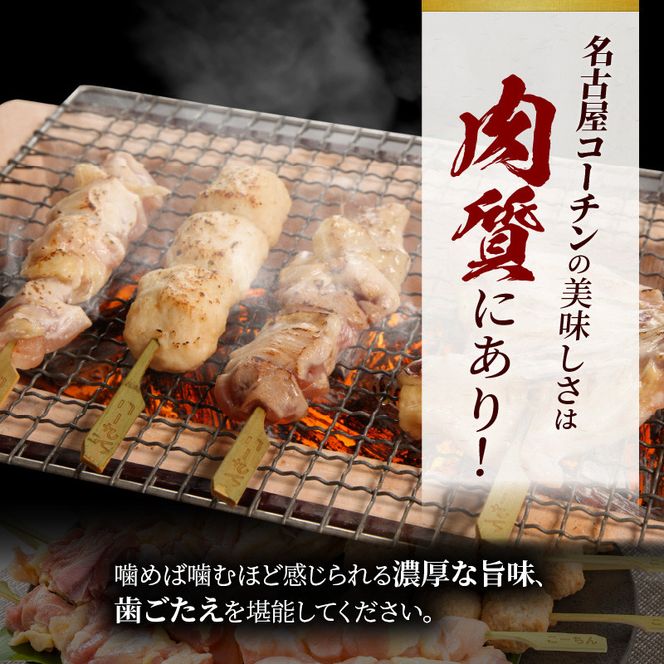 名古屋コーチン焼き鳥セット(モモ・ムネ・手羽中・つくね)(20本入り)[001T02]