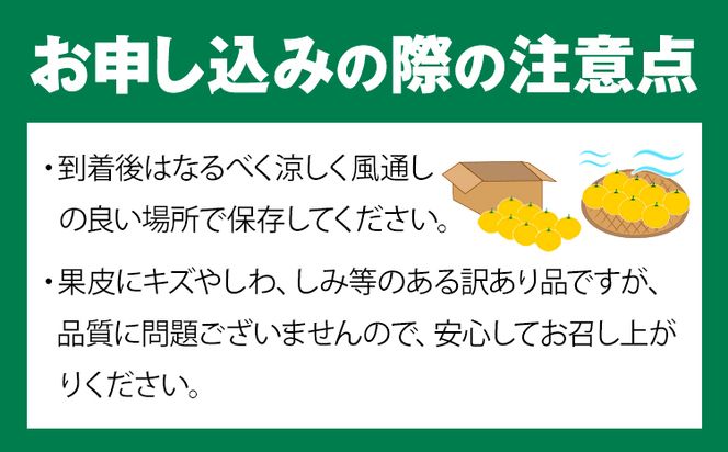 ＜先行予約＞紀州有田産ブラッドオレンジ 約3kg 【ご家庭用】 魚鶴商店《2027年3月上旬-3月下旬頃出荷》 和歌山県 日高町 紀州有田産 オレンジ みかん ご家庭用---wsh_huo7_a4_23_17000_3kg---
