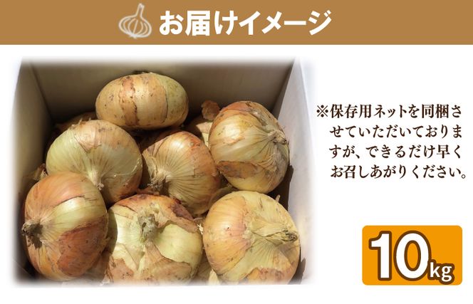 010B259 【先行予約】 数量限定 幻のたまねぎ 泉州黄玉ねぎ 10kg【新鮮 野菜 泉佐野産 茄子 やさい 高評価 数量限定】