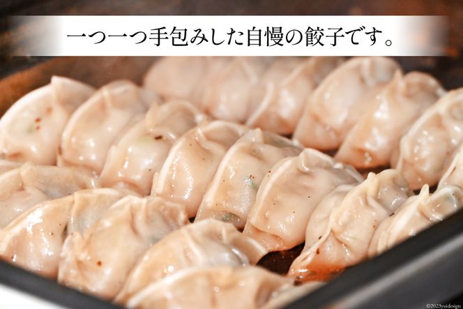 【AH019】 焼くだけ！一か月に1500個売り上げる餃子 45個（15個×3パック）