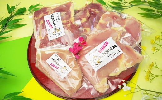 天草大王精肉セット（モモ、ムネ、ササミ） 約1.5kg×2セット 計約3kg 天草大王 モモ ムネ ササミ