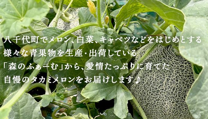 【 先行予約 2025年6月中旬 以降発送】 令和7年産 八千代町産 タカミメロン 優以上 1箱 （ 3 ～ 5玉 入り） 期間限定 産地直送 果物 フルーツ メロン 甘い [CL002ya]