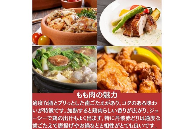 【訳あり】【12回定期便】丹波赤どり もも肉 2kg （1kg ×2パック×12回）計24kg＜京都亀岡丹波山本＞業務用 鶏肉 鶏 モモ肉 冷凍 12ヶ月 1年間