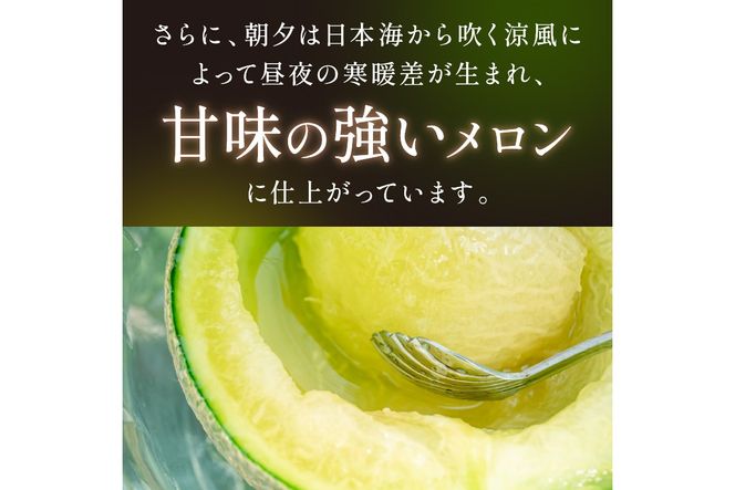 【先行予約／数量限定500】京丹後産 砂丘メロン 大玉2L以上 1玉（2025年7月下旬～発送）　国産 メロン めろん 2024フルーツ ふるーつ 果物 くだもの 農家応援 生産者応援　HF00003